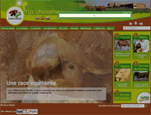 Tablet Screenshot of limousine.org